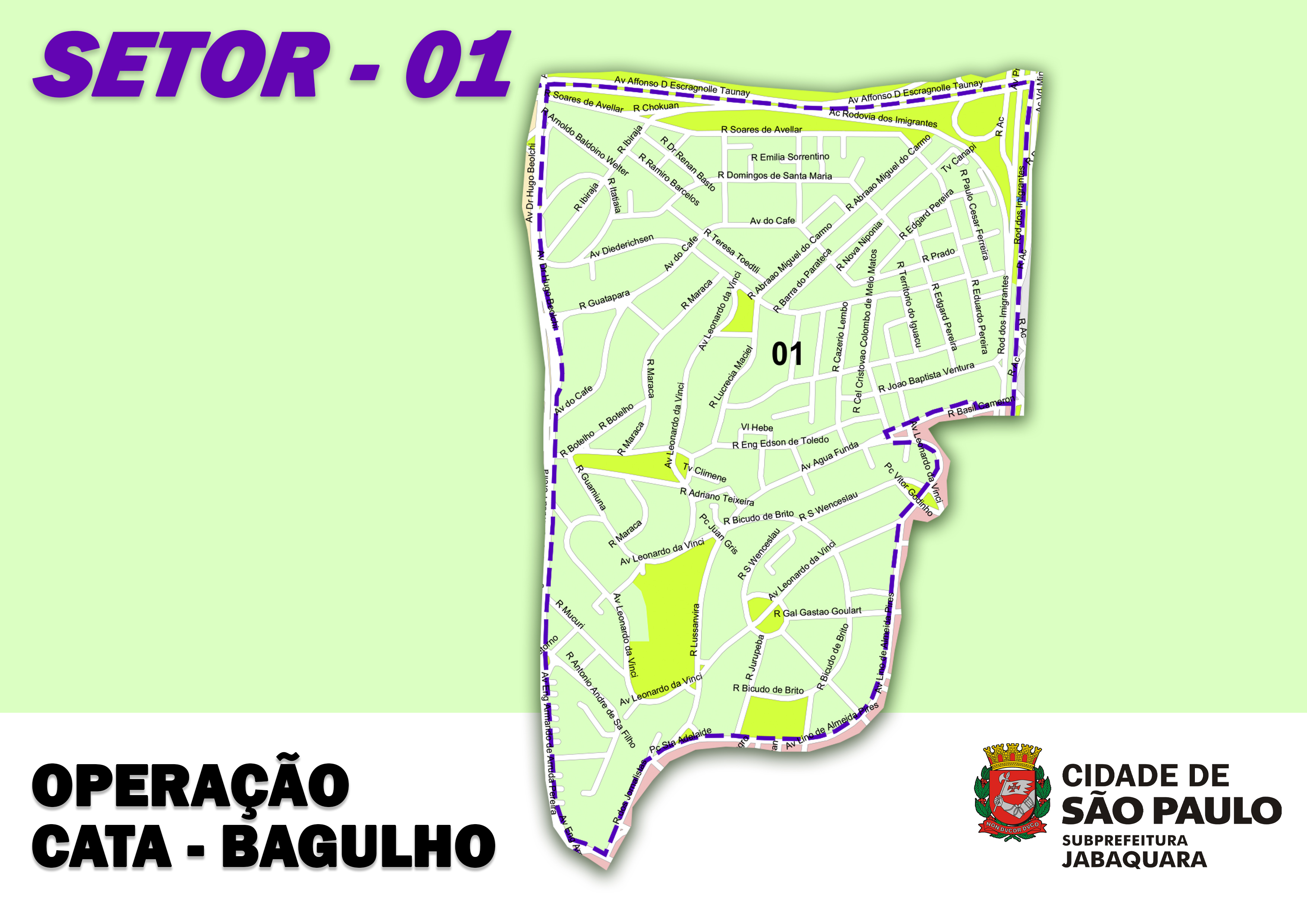 imagem com fundo verde e um mapa ao centro, com os dizeres "Operação Cata-bagulho" e o logotipo da prefeitura de São Paulo.